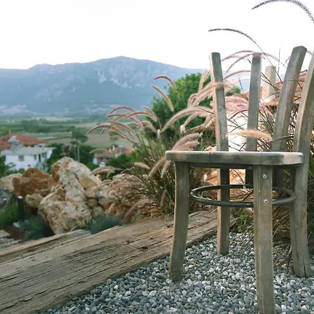 Kikonia Art & Lägenhetshotell *