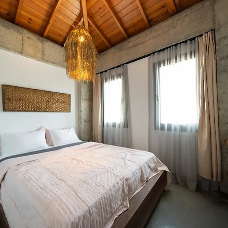 Kikonia Art & אקיאקה