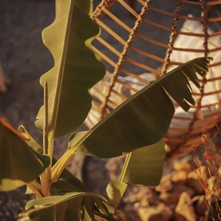 מלון דירות Kikonia Art & אקיאקה